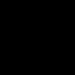 Meet your Posher, Jalen